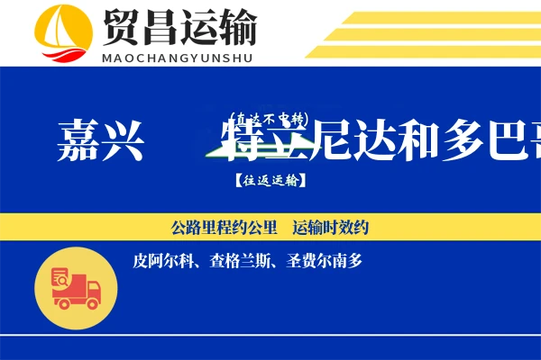 嘉兴到特立尼达和多巴哥物流专线 | 空运海运双清包税 | 门到门国际物流服务